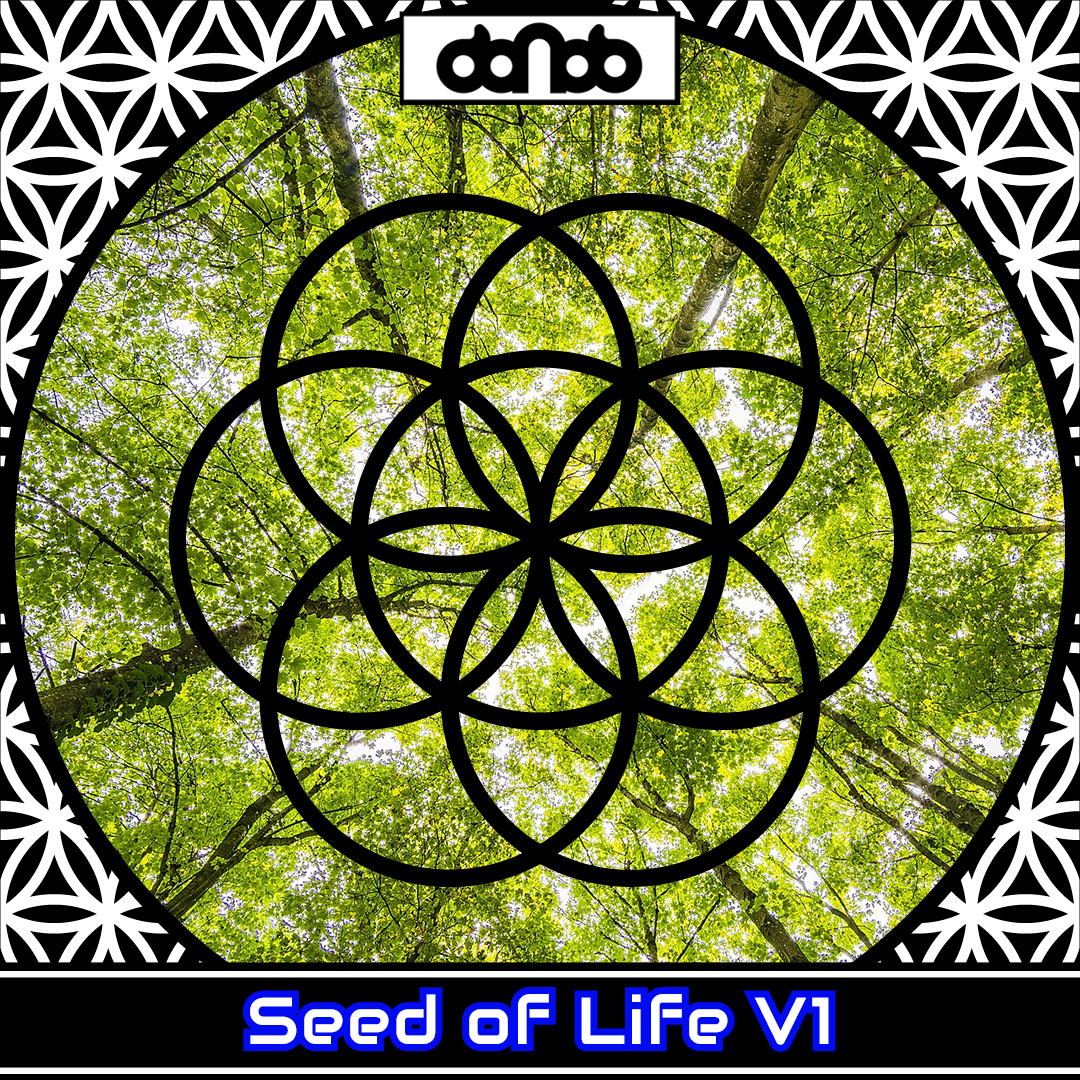 600x001 - Seed of Life V1 Dual - Bild 7