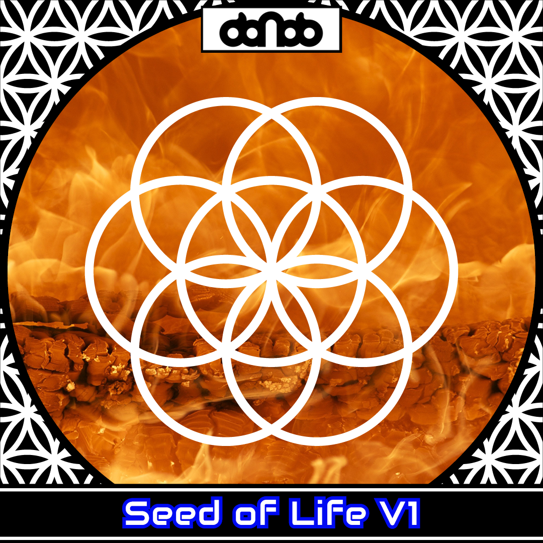 600x001 - Seed of Life V1 Dual - Bild 8