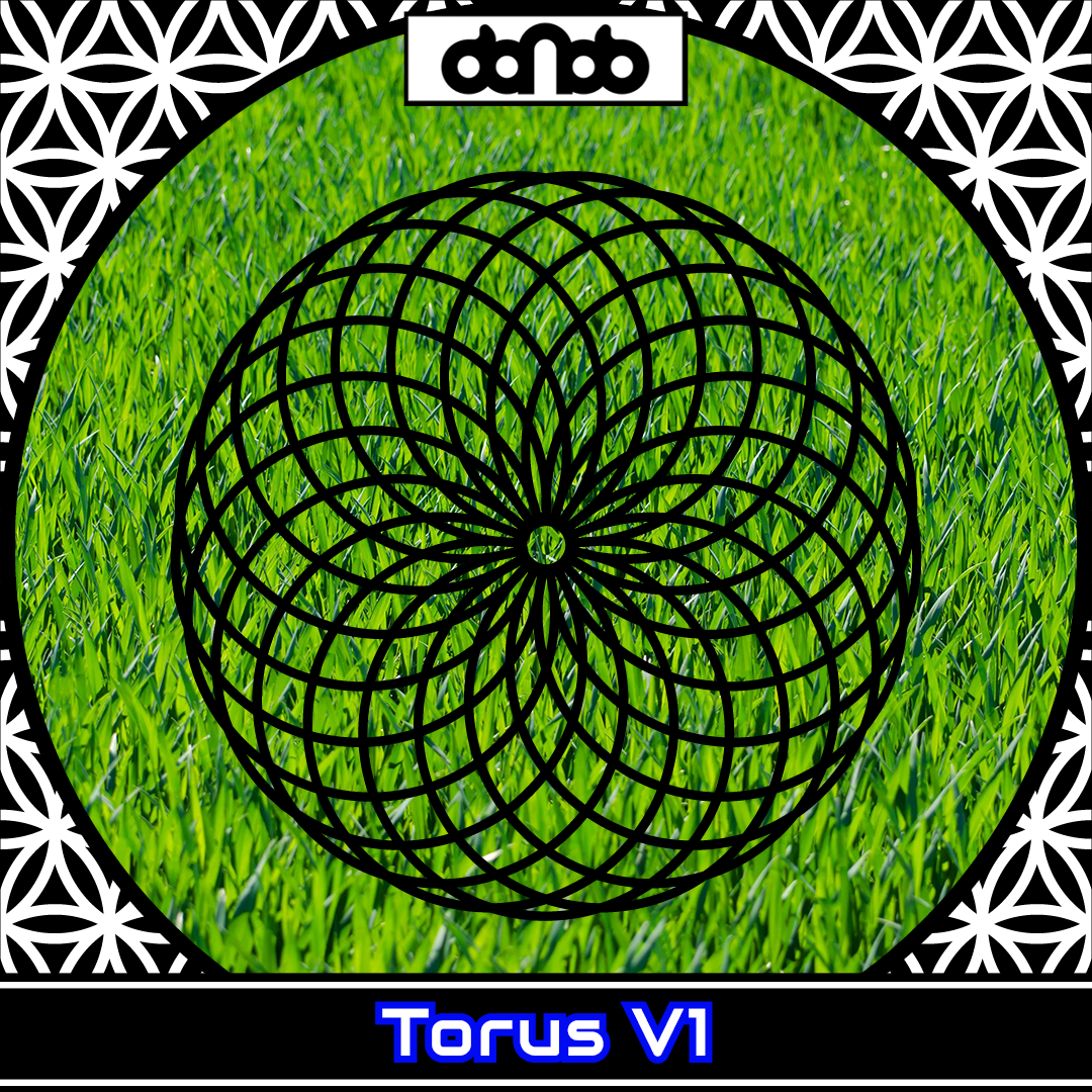 601x005 - Torus V1 Dual - Bild 5